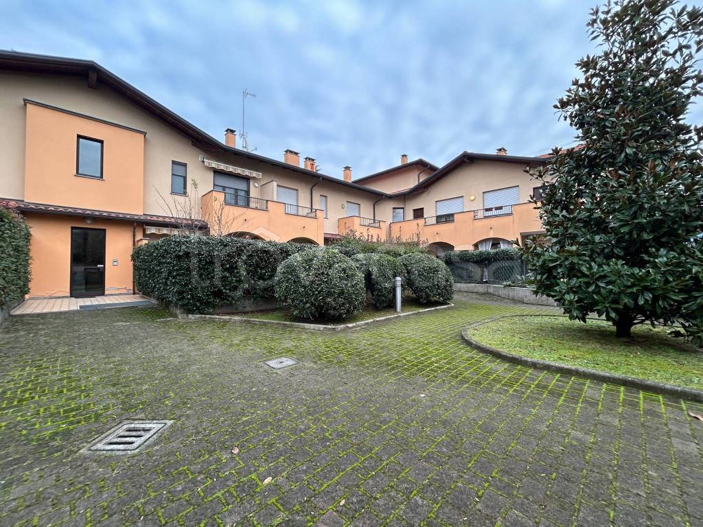 immagine annuncio 12 di 15