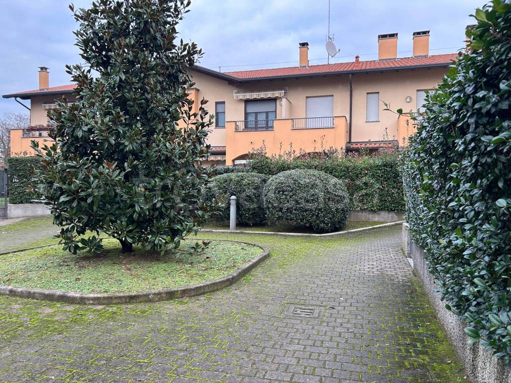 immagine annuncio 14 di 15