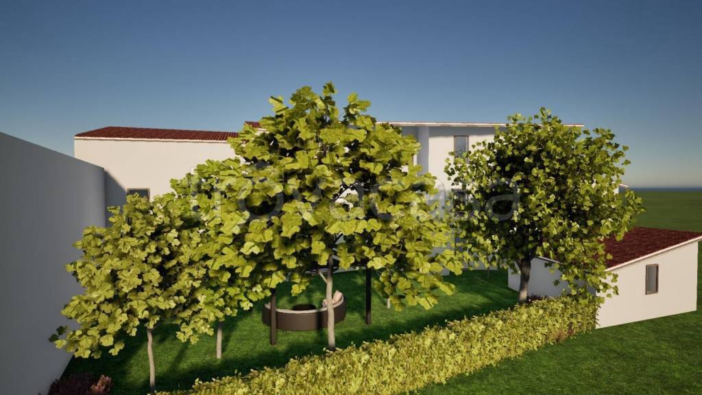 immagine annuncio 4 di 6