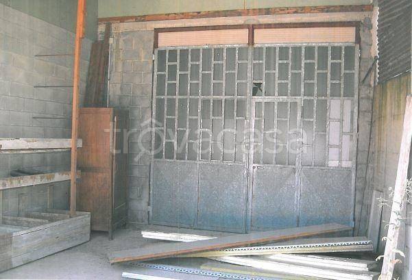 immagine annuncio 4 di 11