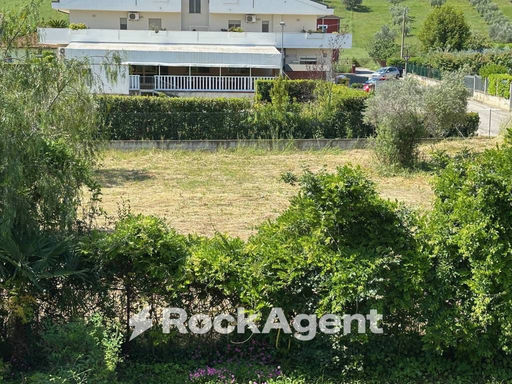 immagine annuncio 3 di 6