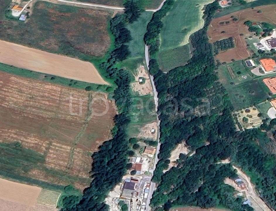 immagine annuncio 6 di 11