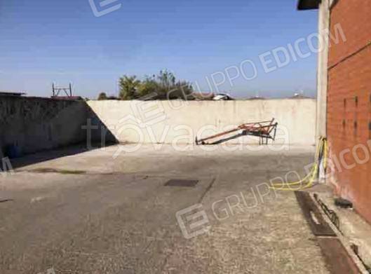 immagine annuncio 8 di 14