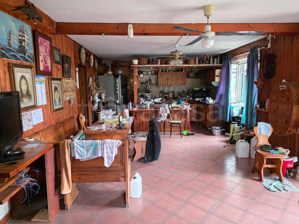 immagine annuncio 11 di 14