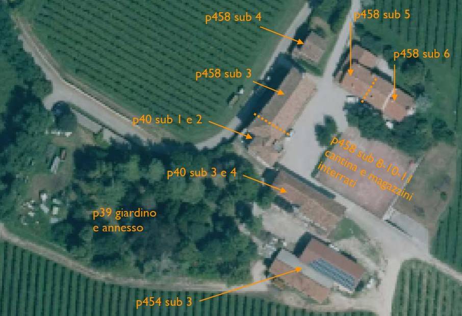 immagine annuncio 11 di 15