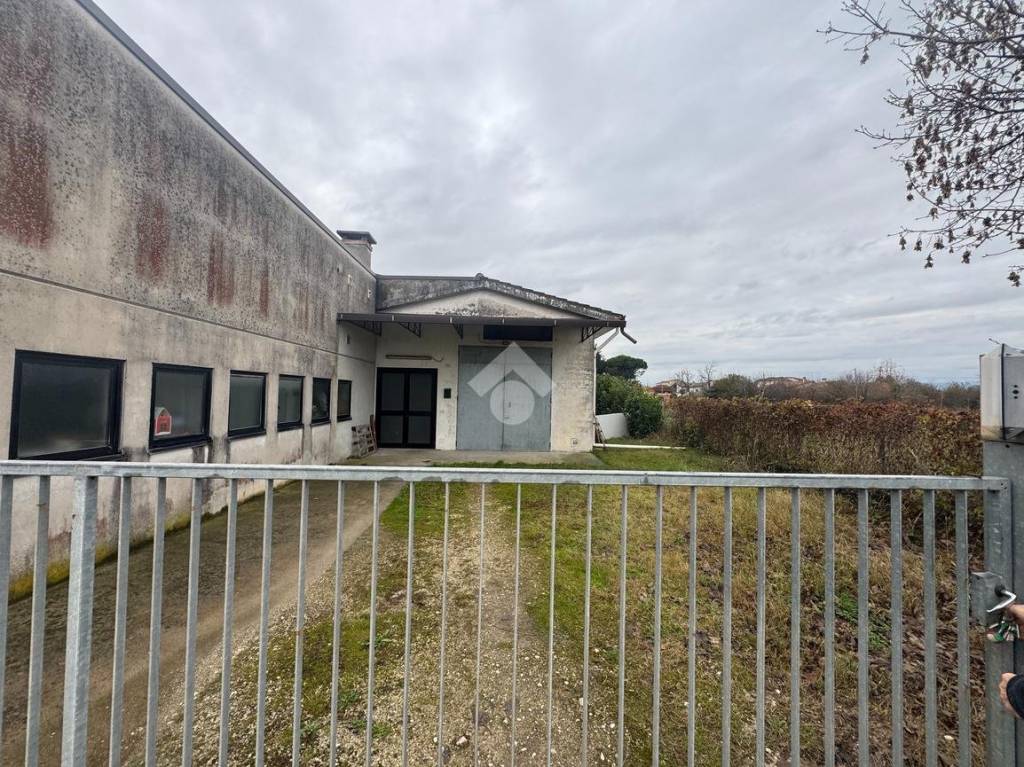 immagine annuncio 9 di 12