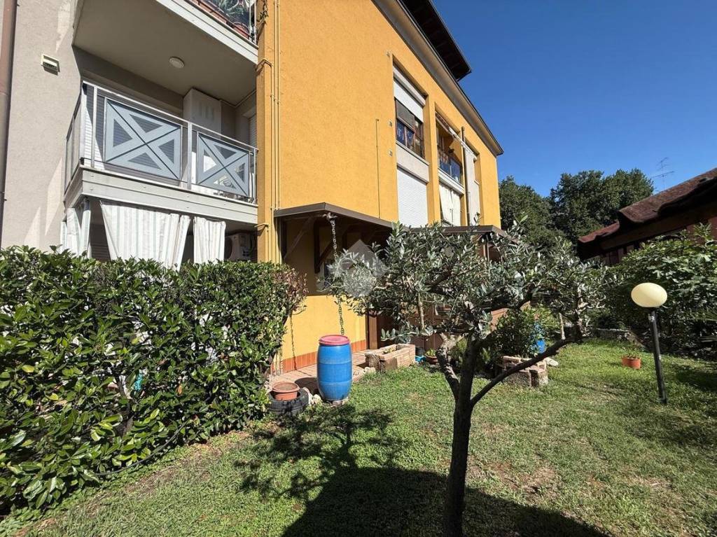 immagine annuncio 6 di 15