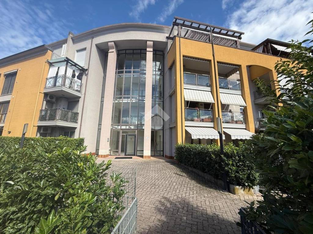 immagine annuncio 7 di 15