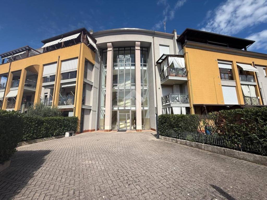 immagine annuncio 12 di 15