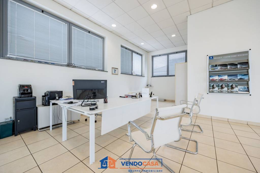 immagine annuncio 6 di 15