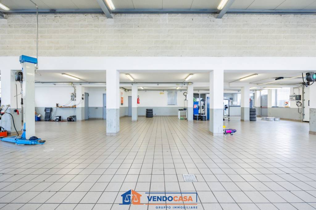 immagine annuncio 11 di 15