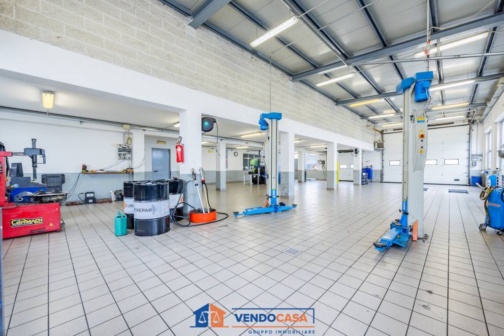 immagine annuncio 12 di 15