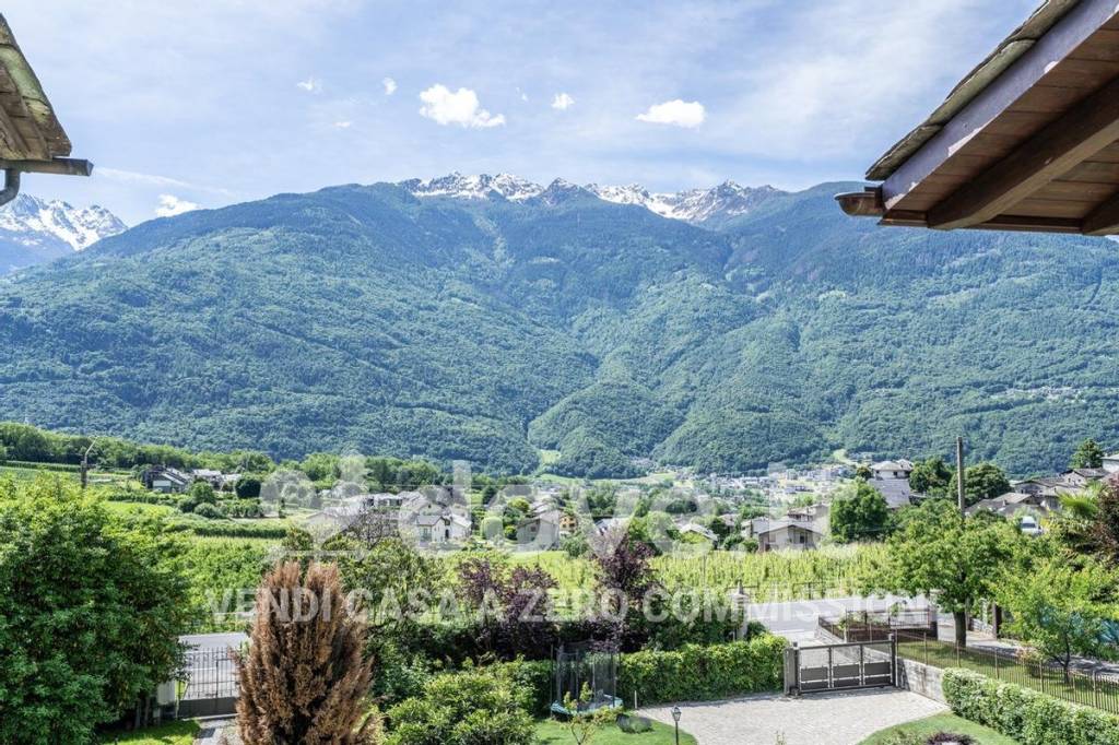 immagine annuncio 2 di 14