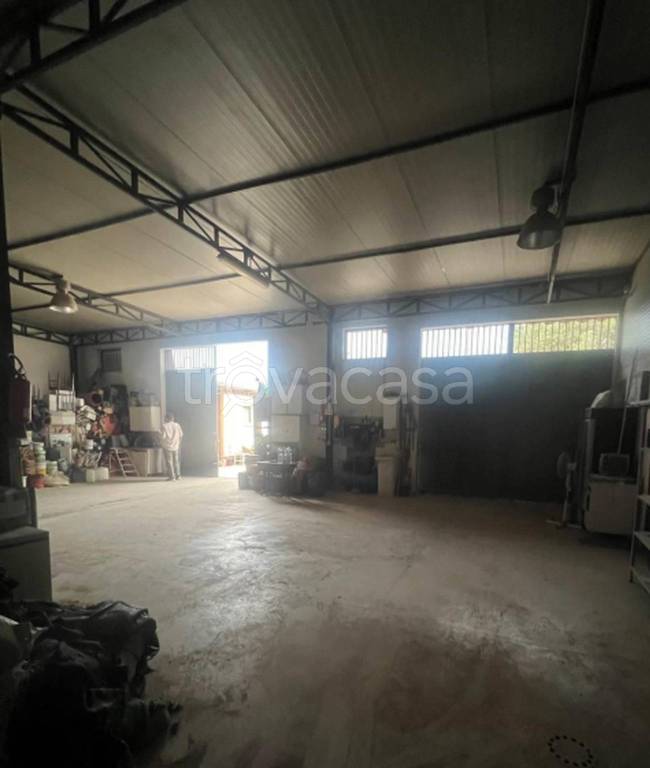 immagine annuncio 5 di 9