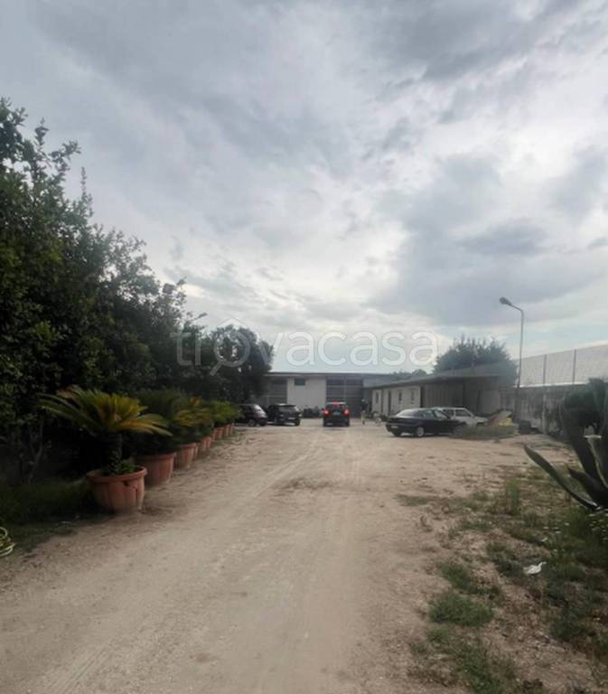 immagine annuncio 7 di 9