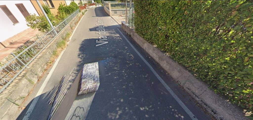 immagine annuncio 3 di 13