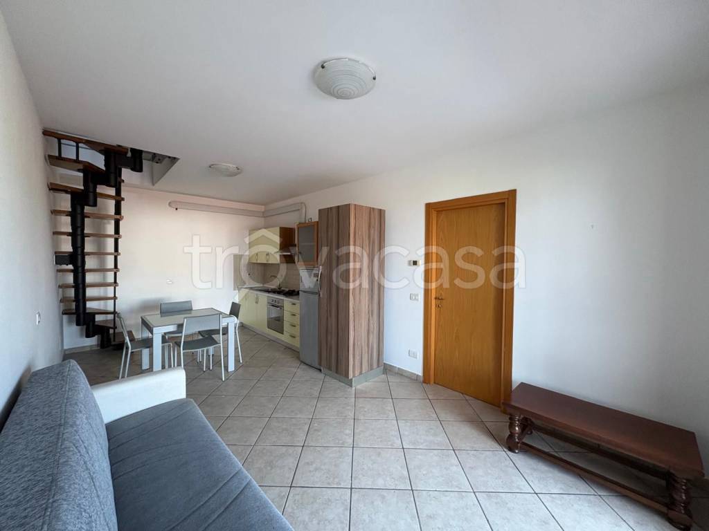 immagine annuncio 9 di 15