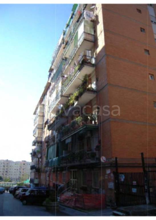 immagine annuncio 5 di 13