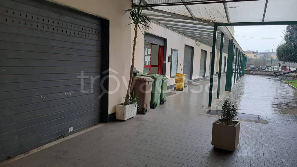 immagine annuncio 1 di 14