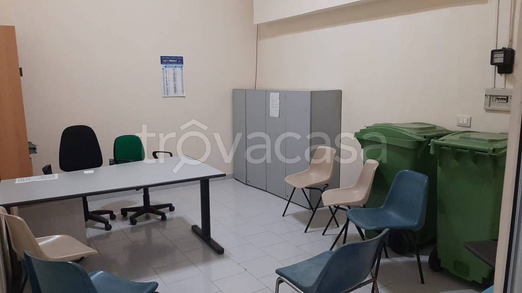 immagine annuncio 4 di 14