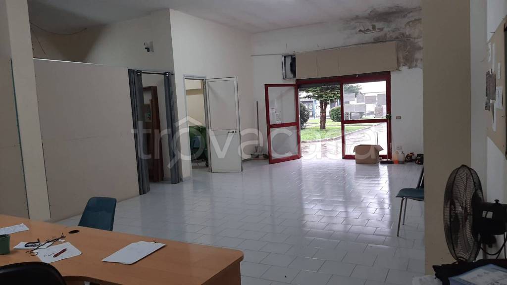 immagine annuncio 5 di 14