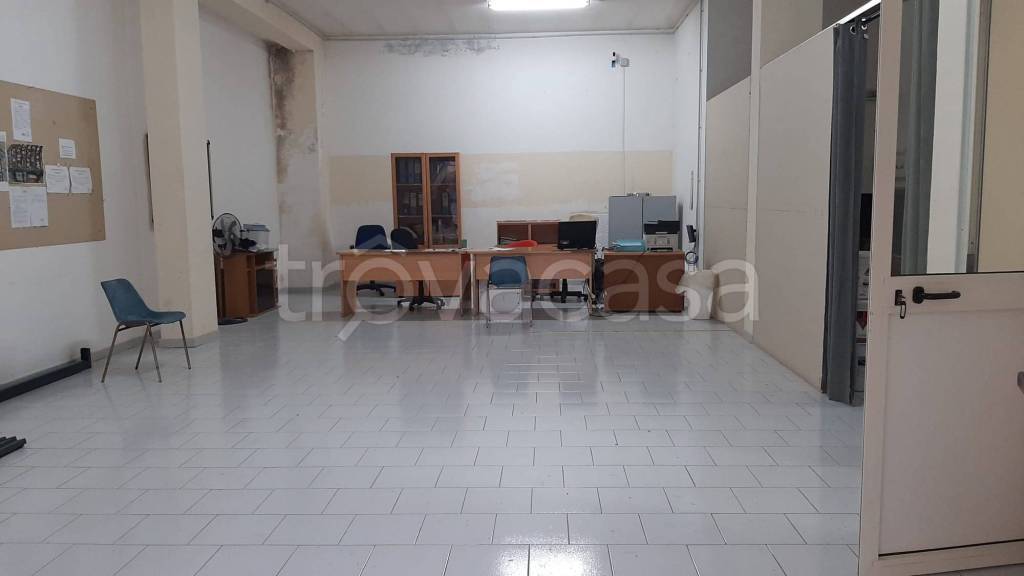 immagine annuncio 6 di 14