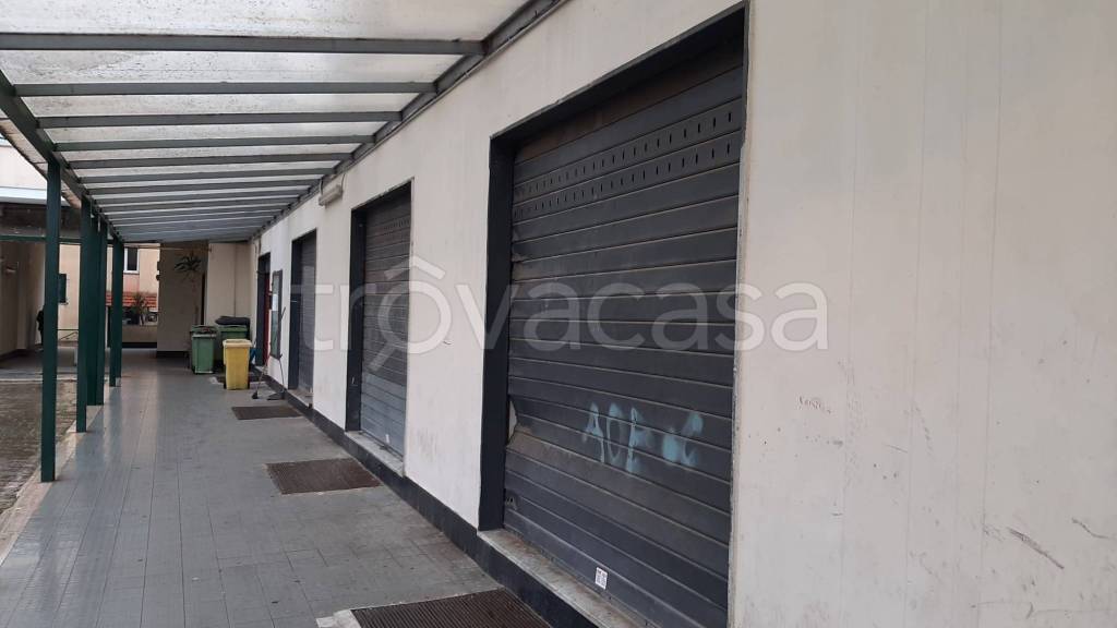 immagine annuncio 8 di 14