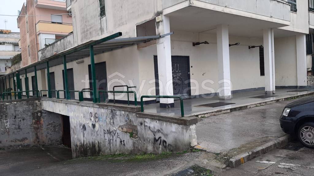 immagine annuncio 10 di 14