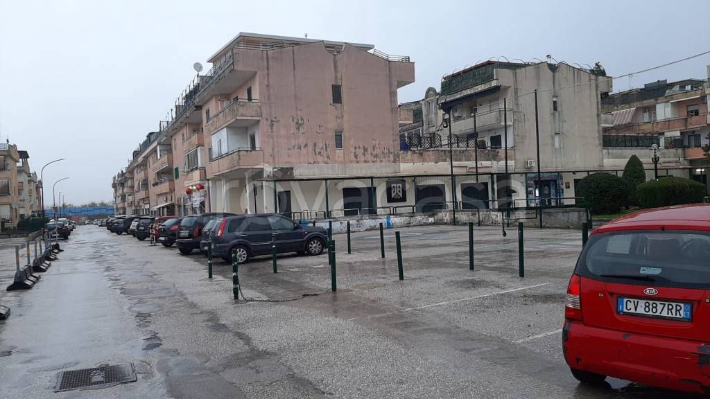 immagine annuncio 11 di 14