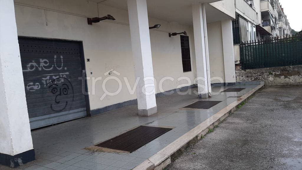 immagine annuncio 12 di 14