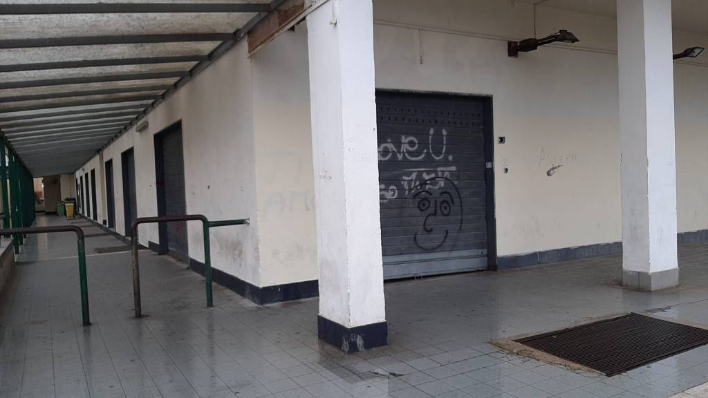 immagine annuncio 13 di 14