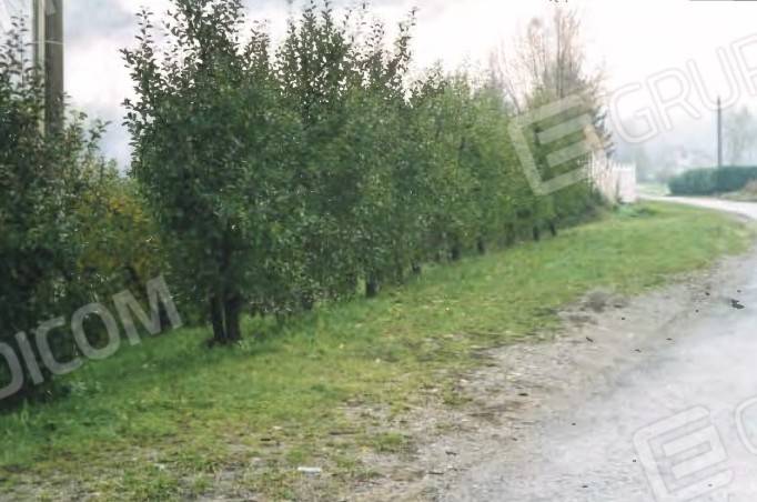 immagine annuncio 3 di 9