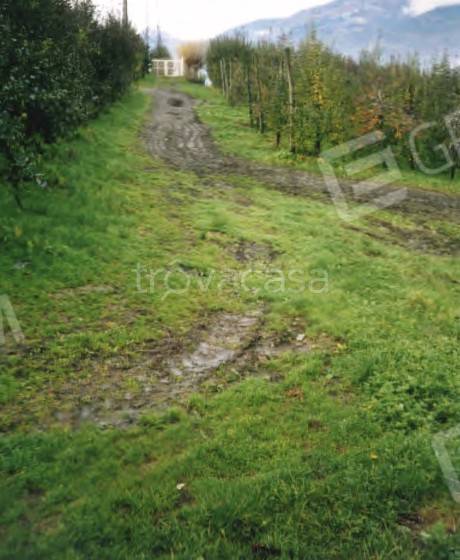 immagine annuncio 6 di 9