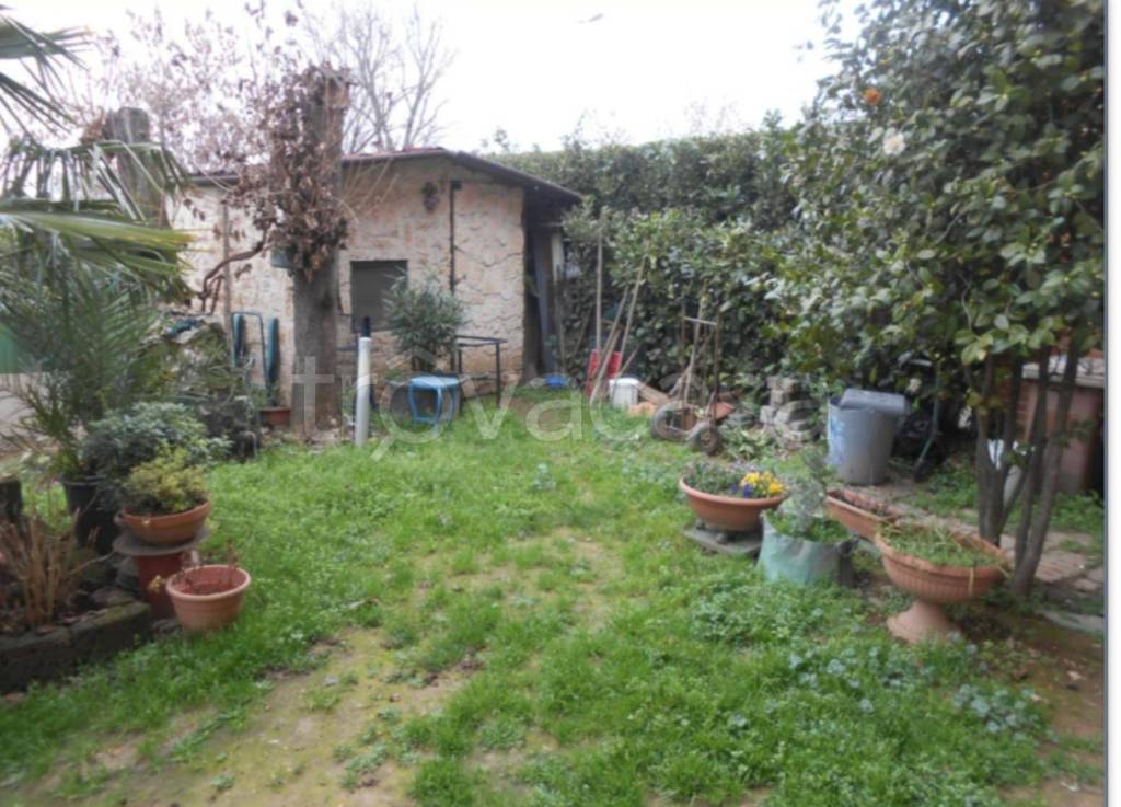 immagine annuncio 3 di 13