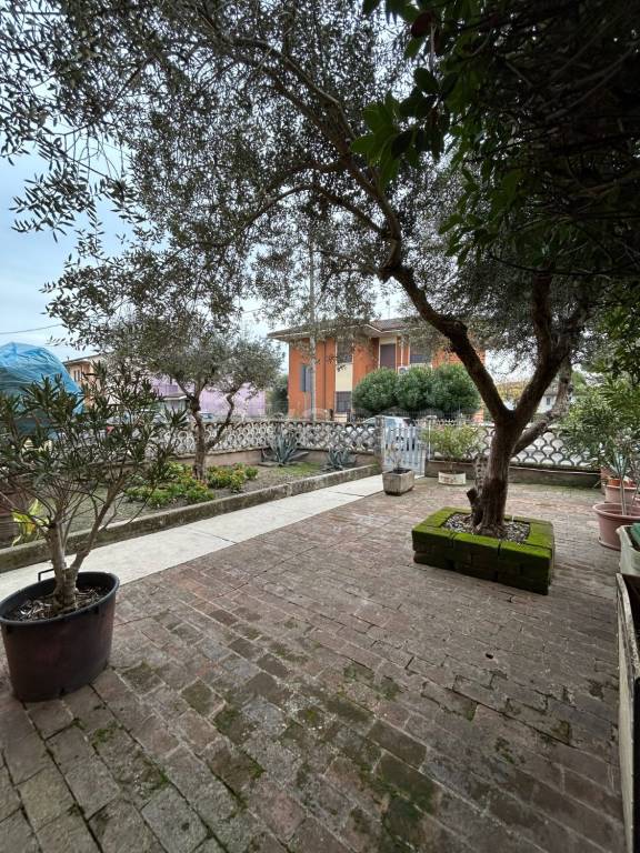 immagine annuncio 10 di 15