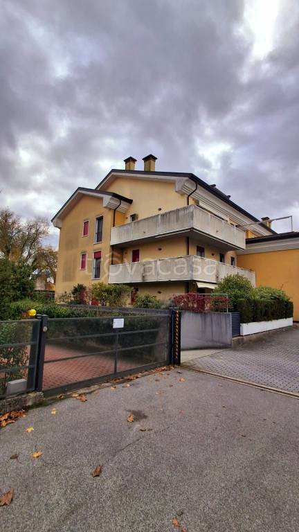 immagine annuncio 1 di 14