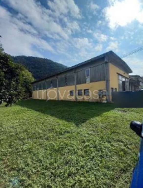 immagine annuncio 8 di 12