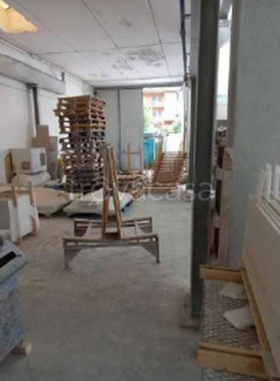 immagine annuncio 10 di 12