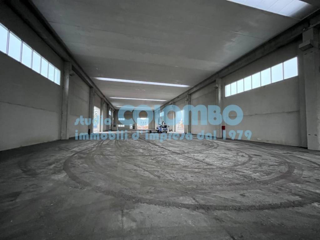 immagine annuncio 5 di 8