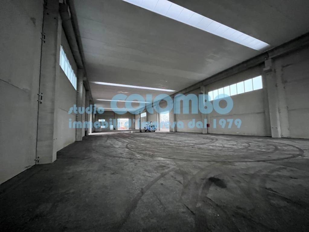 immagine annuncio 6 di 8