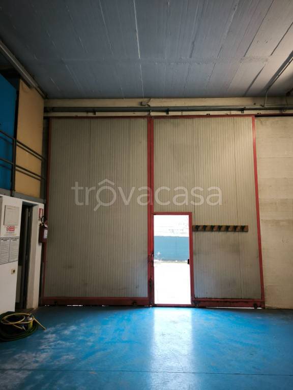 immagine annuncio 3 di 11