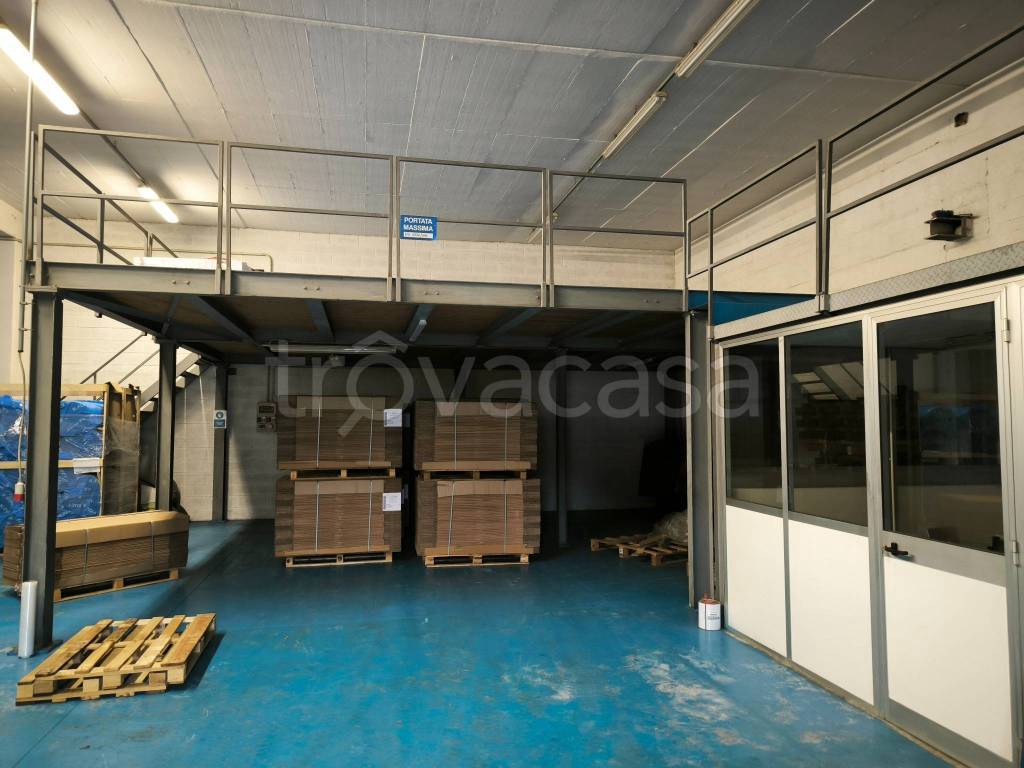 immagine annuncio 1 di 11