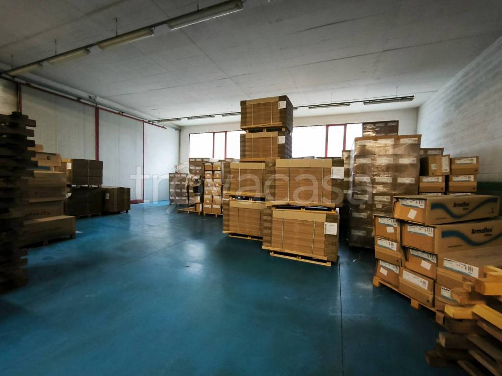 immagine annuncio 4 di 11