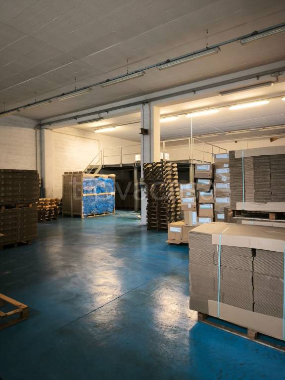 immagine annuncio 5 di 11