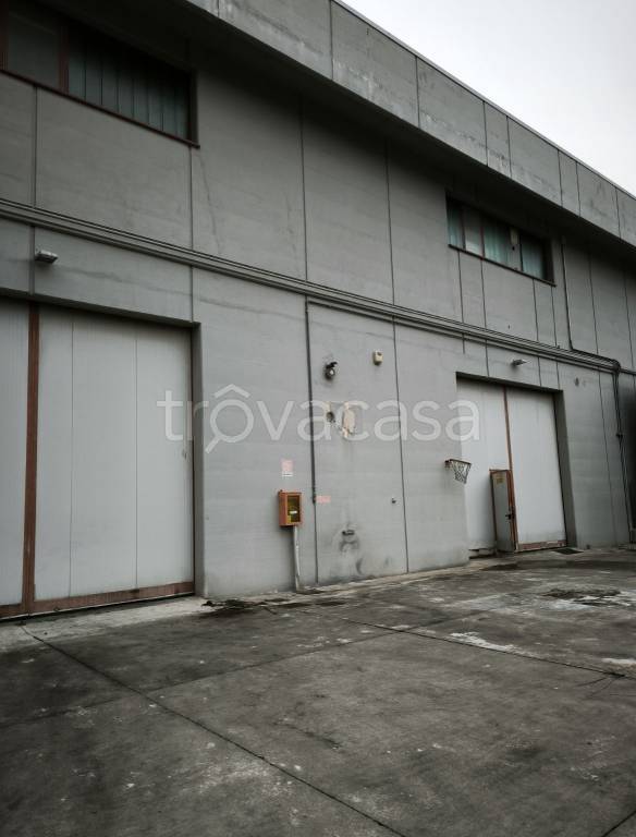 immagine annuncio 10 di 11