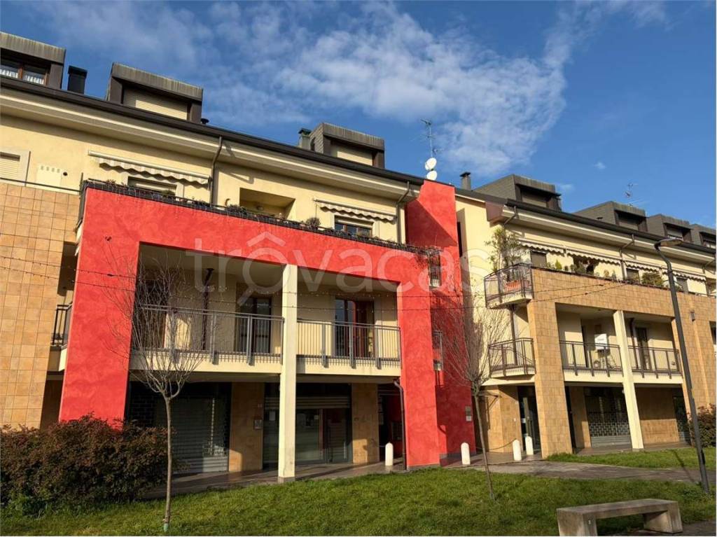 immagine annuncio 1 di 15