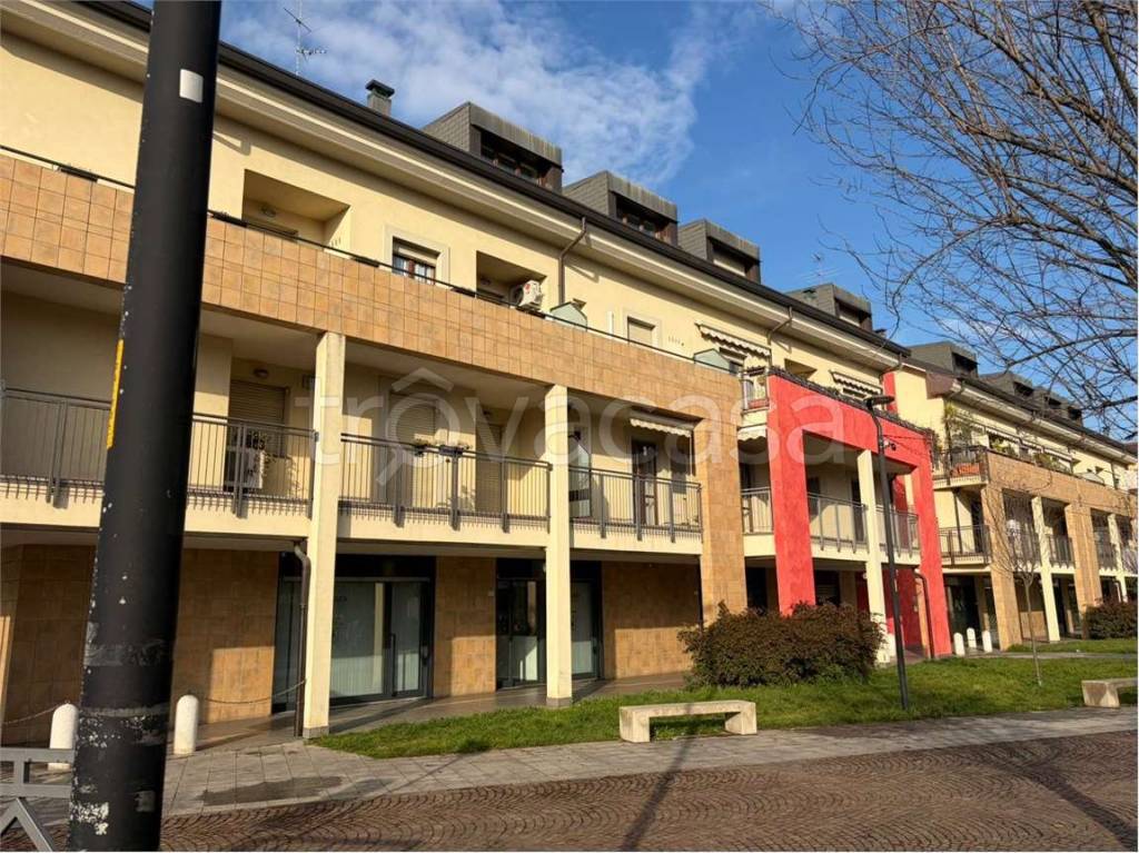 immagine annuncio 2 di 15