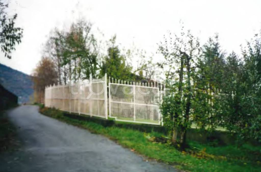 immagine annuncio 2 di 9