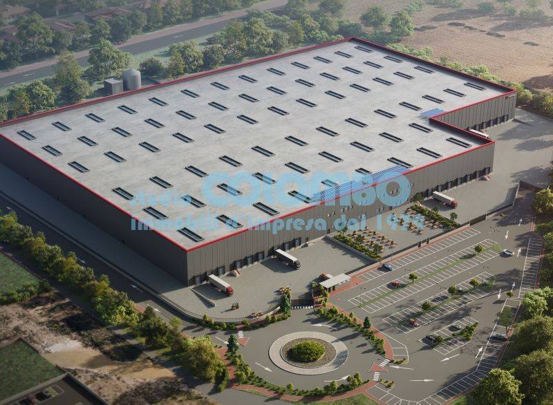 immagine annuncio 4 di 11