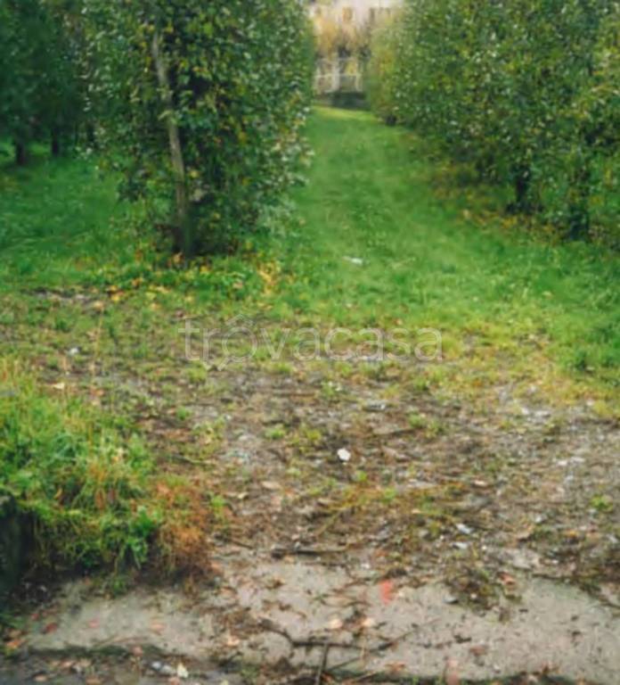 immagine annuncio 8 di 9